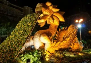 Sản phẩm dsc02774 — Công Ty Cổ Phần Chiếu Sáng Công Cộng Thành Phố Hồ Chí Minh — MST 0300423479