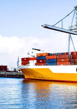 Sản phẩm 44 580 — Công Ty Cổ Phần Vận Tải Biển Sài Gòn — MST 0300424088