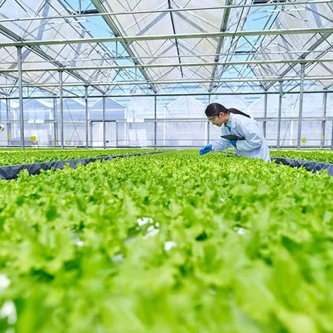 Sản phẩm ve chung toi2 — Công Ty Cổ Phần Phân Bón Miền Nam — MST 0300430500