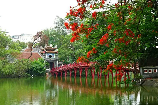 Sản phẩm ha noi — Công Ty TNHH Kiểm Toán Và Dịch Vụ Tin Học Moore Aisc — MST 0300513041