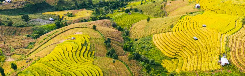 Sản phẩm hg — Công Ty TNHH Kiểm Toán Và Dịch Vụ Tin Học Moore Aisc — MST 0300513041