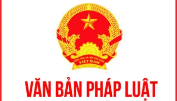 Sản phẩm TONG HOP CAC VAN BAN LUAT KE TOAN THUE 2017 350x200 — Công Ty TNHH Kiểm Toán Và Dịch Vụ Tin Học Moore Aisc — MST 0300513041
