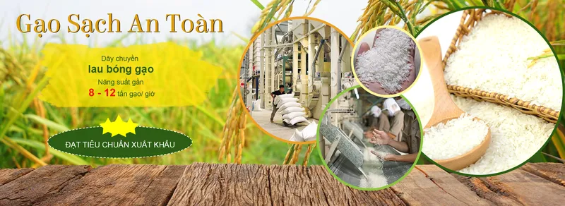Sản phẩm gao sai gon slide 2 — Gạo Foodcosa - Công Ty CP Lương Thực Thành Phố Hồ Chí Minh — MST 0300559014