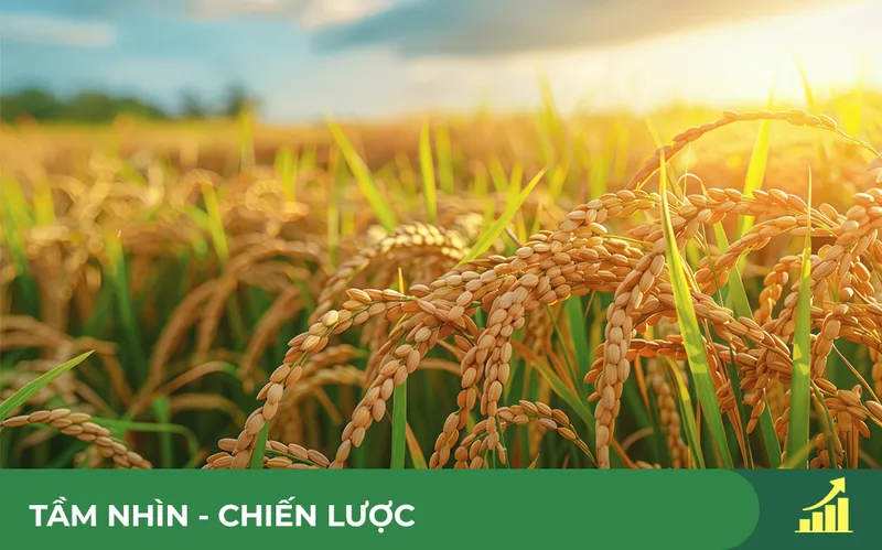Sản phẩm TAM NHIN CHIEN LUOC — Gạo Foodcosa - Công Ty CP Lương Thực Thành Phố Hồ Chí Minh — MST 0300559014