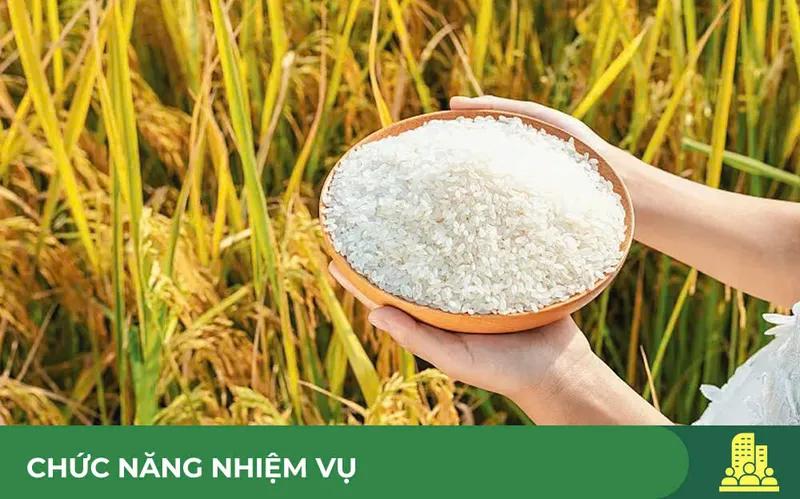 Sản phẩm z7384299548952_85024c1315e14f33159f625136c31ed4 — Gạo Foodcosa - Công Ty CP Lương Thực Thành Phố Hồ Chí Minh — MST 0300559014