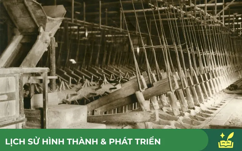Sản phẩm z7384307958381_8596046578a8df65bb24dc51a5d87660 — Gạo Foodcosa - Công Ty CP Lương Thực Thành Phố Hồ Chí Minh — MST 0300559014