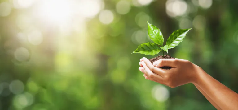Sản phẩm REE BaoVeMoiTruong 768x357 — Công Ty Cổ Phần Cơ Điện Lạnh — MST 0300741143