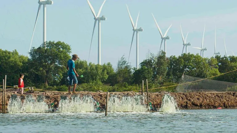 Sản phẩm ree renewableenergy final 4k0 768x432 — Công Ty Cổ Phần Cơ Điện Lạnh — MST 0300741143