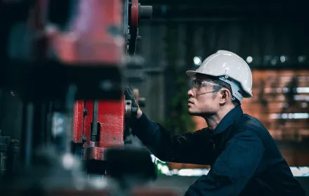 Sản phẩm image 4 — Công Ty Trách Nhiệm Hữu Hạn TF (Việt Nam) — MST 0300769621