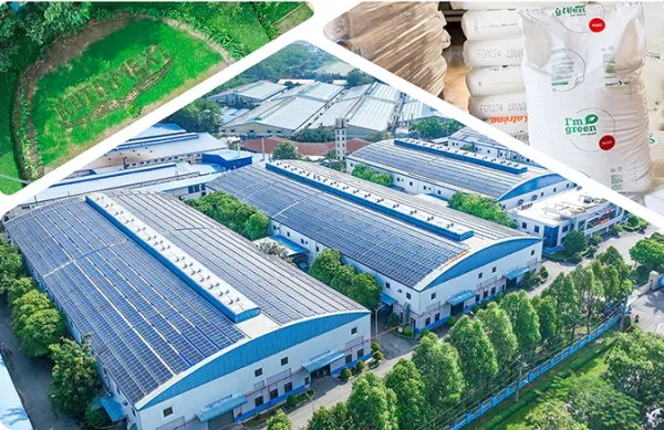 Sản phẩm 1704444036.nv — Cao Su Thống Nhất - Công Ty TNHH MTV Cao Su Thống Nhất — MST 0300770151