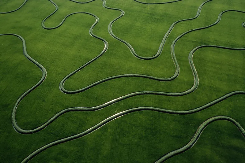 Sản phẩm ey aerial view of rice fields in the san joaquin valley — Công Ty TNHH Ernst & Young Việt Nam — MST 0300811802