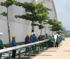 Sản phẩm img33524367_240x200 — Công Ty TNHH Nippovina — MST 0300828997