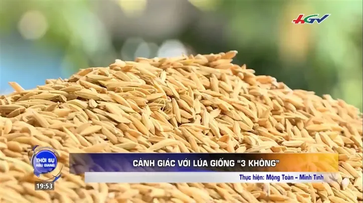 Sản phẩm ssc 1573549720974 — Công Ty TNHH Sản Xuất Thương Mại Lương Nông — MST 0300970351