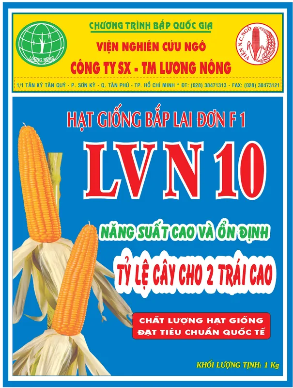 Sản phẩm Hạt giống bắp lai đơn F1 LVN 10 — Công Ty TNHH Sản Xuất Thương Mại Lương Nông — MST 0300970351