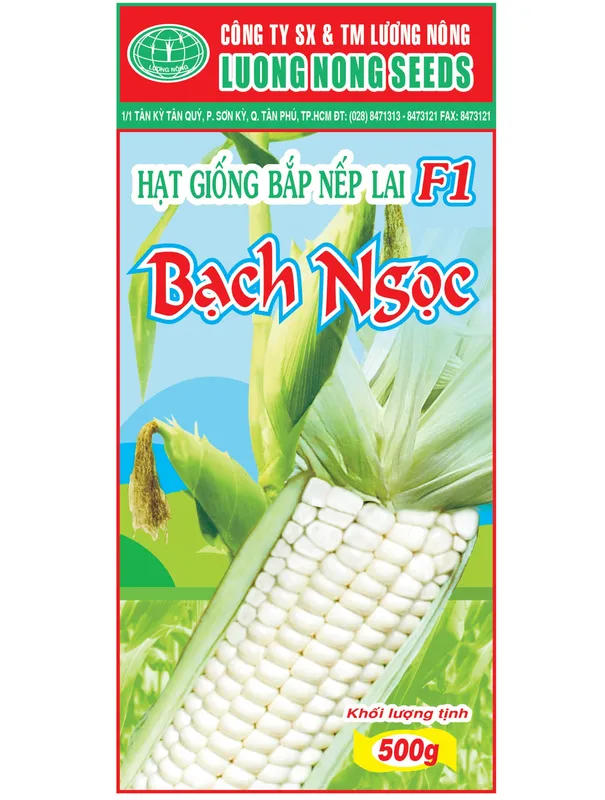 Sản phẩm Hạt giống bắp nếp Bạch Ngọc lai F1. scaled — Công Ty TNHH Sản Xuất Thương Mại Lương Nông — MST 0300970351