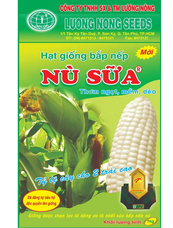 Sản phẩm Hạt giống bắp nếp Nù Sữa scaled — Công Ty TNHH Sản Xuất Thương Mại Lương Nông — MST 0300970351