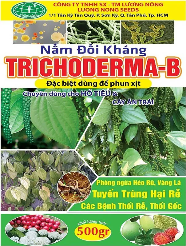 Sản phẩm Nấm đối kháng Trichoderma B scaled — Công Ty TNHH Sản Xuất Thương Mại Lương Nông — MST 0300970351
