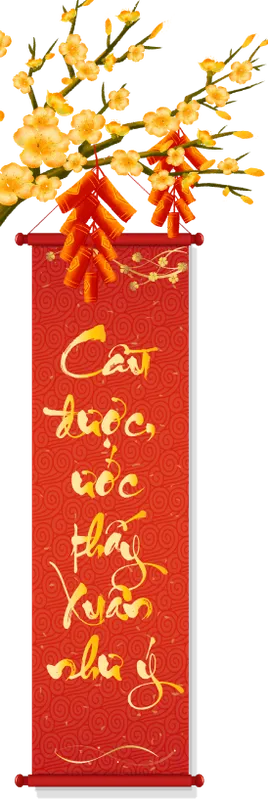 Sản phẩm cau duoc uoc thay xuan nhu y trai 2 — Công Ty Cổ Phần Dịch Vụ Du Lịch Và Thương Mại Tân Văn Lang — MST 0300977533