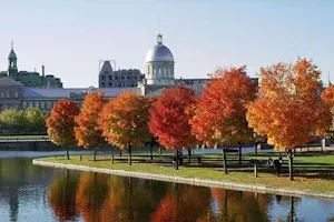 Sản phẩm canada 1 — Công Ty Cổ Phần Dịch Vụ Du Lịch Và Thương Mại Tân Văn Lang — MST 0300977533