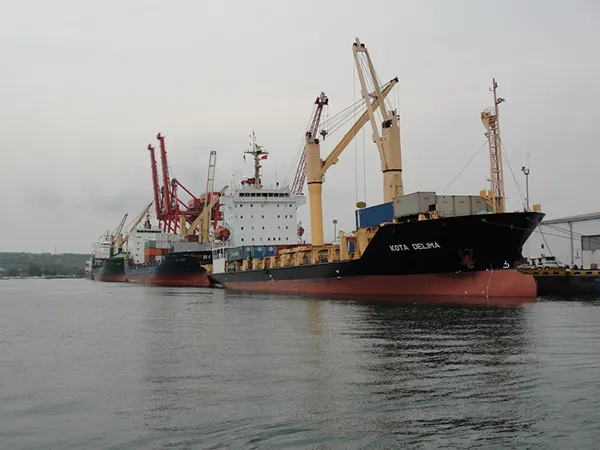Sản phẩm 1664423051 multi_section20 a1 — Giám Định MeKong - Công Ty TNHH Giám Định MeKong — MST 0301023113