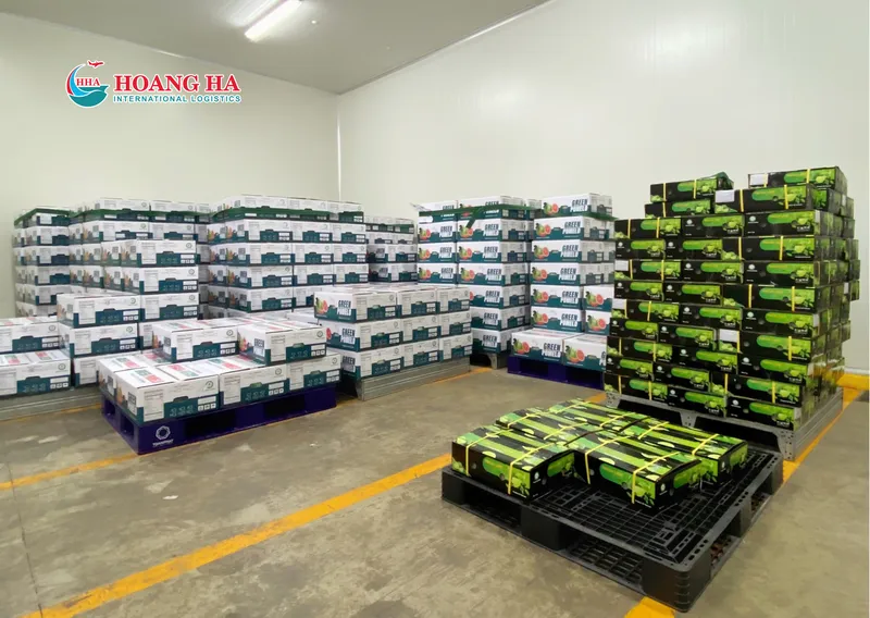 Sản phẩm Thiết kế chưa có tên 8 — Logistics Hoàng Hà - Công Ty CP Quốc Tế Lô-Gi-Stíc Hoàng Hà — MST 0301033626