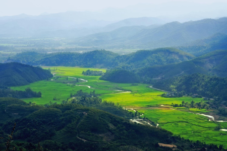 Sản phẩm canh dong muong thanh — Công Ty Cổ Phần Dịch Vụ Du Lịch Bến Thành — MST 0301171827
