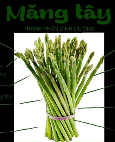 Sản phẩm mang tay 4339 — Công Ty Cổ Phần Bông Việt Nam — MST 0301225328