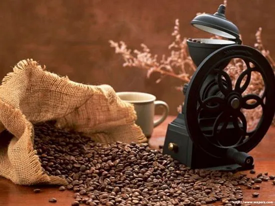 Sản phẩm 40 coffee — Công Ty Cổ Phần Giám Định Cà Phê Và Hàng Hóa Xuất Nhập Khẩu — MST 0301240291