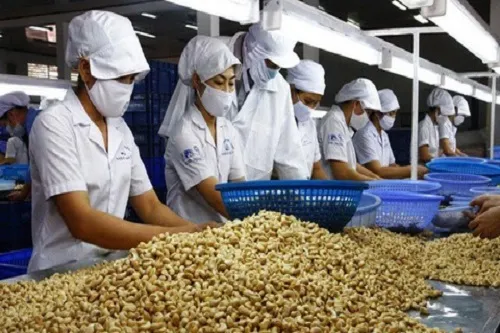 Sản phẩm xk — Công Ty Cổ Phần Giám Định Cà Phê Và Hàng Hóa Xuất Nhập Khẩu — MST 0301240291