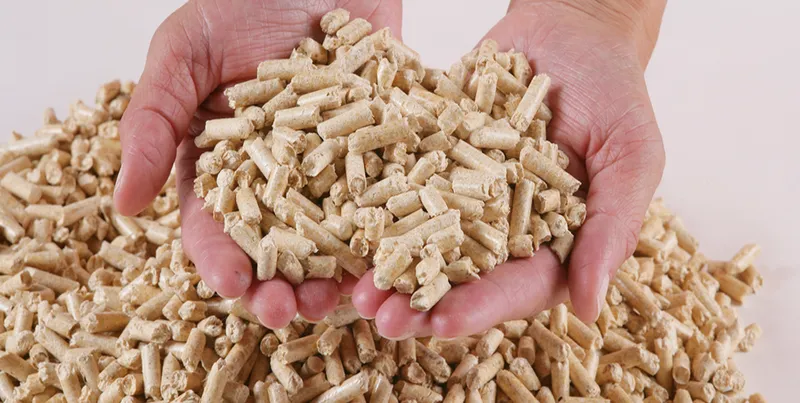 Sản phẩm 470698401615078_1200x605 — Công Ty TNHH Thương Mại Đại Nam — MST 0301331710
