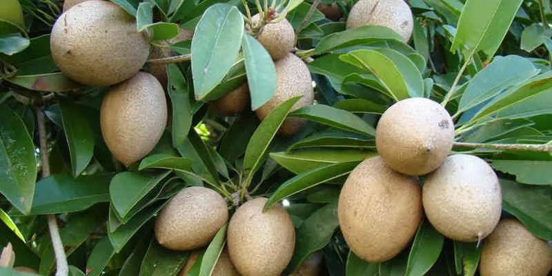 Sản phẩm 1_aBI5aXA.original — Công Ty TNHH Thương Mại Thái Phong — MST 0301345738