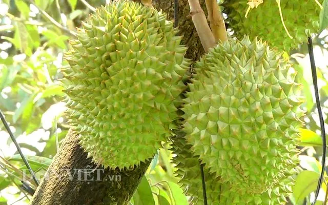 Sản phẩm 2_D27PrMB.original — Công Ty TNHH Thương Mại Thái Phong — MST 0301345738