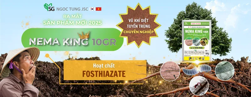 Sản phẩm website 1 — Công Ty Cổ Phần Sản Xuất Thương Mại Dịch Vụ Ngọc Tùng — MST 0301415086