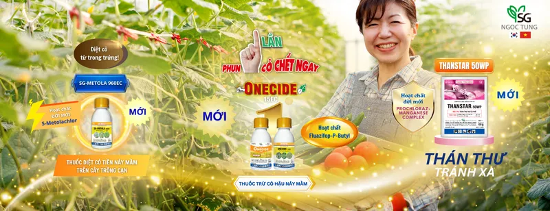 Sản phẩm website 5 — Công Ty Cổ Phần Sản Xuất Thương Mại Dịch Vụ Ngọc Tùng — MST 0301415086