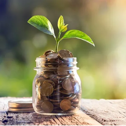 Sản phẩm Investment policy_800x450_0 — Công Ty Cổ Phần Sản Xuất Thương Mại Dịch Vụ Ngọc Tùng — MST 0301415086