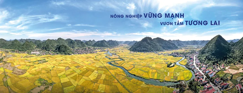 Sản phẩm 415071b6c1e635b86cf72 — Công Ty Cổ Phần Sản Xuất Thương Mại Dịch Vụ Ngọc Tùng — MST 0301415086