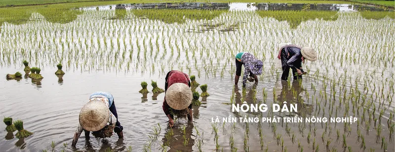 Sản phẩm NONG DAN LA NEN TAN PHAT TRIEN NONG NGHIEP — Công Ty Cổ Phần Sản Xuất Thương Mại Dịch Vụ Ngọc Tùng — MST 0301415086