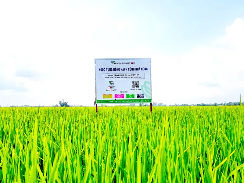 Sản phẩm TRAN VAN THANG.LUA01 1024x768 — Công Ty Cổ Phần Sản Xuất Thương Mại Dịch Vụ Ngọc Tùng — MST 0301415086