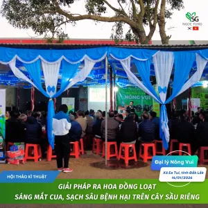 Sản phẩm khung vuong 1 300x300 — Công Ty Cổ Phần Sản Xuất Thương Mại Dịch Vụ Ngọc Tùng — MST 0301415086
