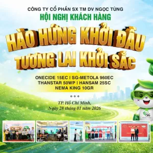 Sản phẩm khung vuong 300x300 — Công Ty Cổ Phần Sản Xuất Thương Mại Dịch Vụ Ngọc Tùng — MST 0301415086