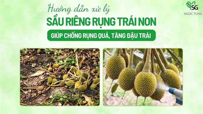 Sản phẩm sau rieng rung trai non 1024x576 — Công Ty Cổ Phần Sản Xuất Thương Mại Dịch Vụ Ngọc Tùng — MST 0301415086
