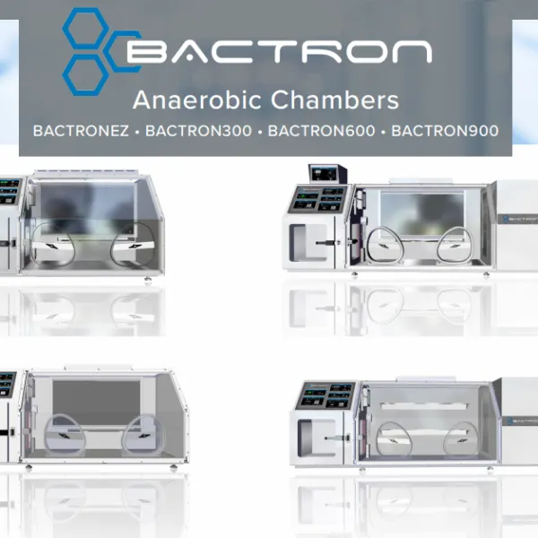 Sản phẩm bactron 600x600 — Công Ty TNHH Thương Mại Rồng Tiến — MST 0301417615