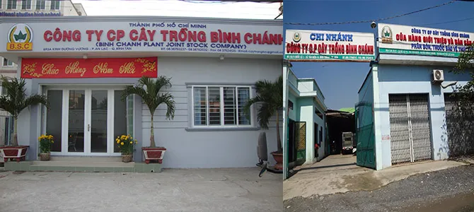 Sản phẩm 987360 — Công Ty Cổ Phần Cây Trồng Bình Chánh — MST 0301432927