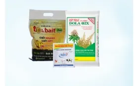 Sản phẩm phan bon 1745373501_259.5x173 — Công Ty Trách Nhiệm Hữu Hạn Một Thành Viên Thương Mại Và Bao Bì Sài Gòn — MST 0301444432