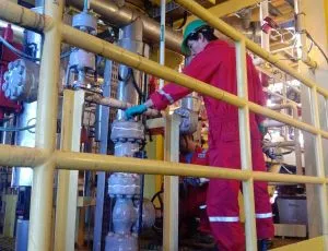 Sản phẩm 915535387785 — Công Ty TNHH Thương Mại Dịch Vụ Thái Sơn — MST 0301444513