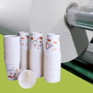 Sản phẩm giay cupstock 300x300 — Giấy Bao Bì Phú Thịnh - Công Ty TNHH Giấy Bao Bì Phú Thịnh — MST 0301454247