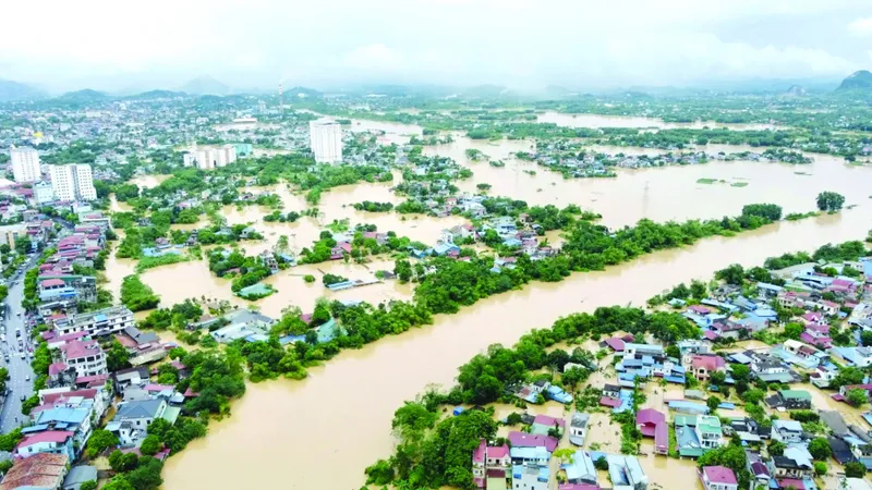 Sản phẩm giao duc tieu hoc tphcm co _541726018437 — Báo Phụ Nữ Thành Phố Hồ Chí Minh — MST 0301463890