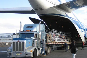 Sản phẩm airfreight overseas 1 — Công Ty TNHH Dịch Vụ Vận Tải Tân Vĩnh Thịnh — MST 0301464414