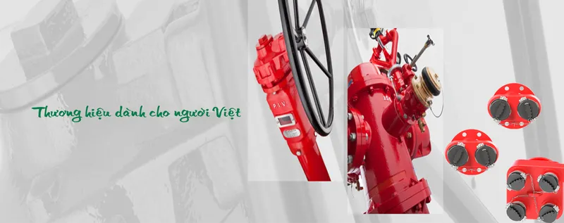 Sản phẩm silder 2 07.2021 2 — Công Ty TNHH Thương Mại Dịch Vụ Minh Bảo — MST 0301472207