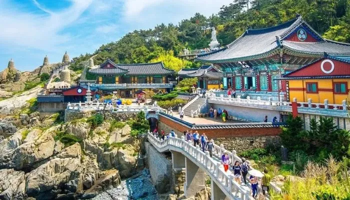 Sản phẩm Chùa Haedong Yonggungsa — Công Ty Cổ Phần Xây Dựng Thương Mại Du Lịch Hồng Ngọc Hà — MST 0301479499